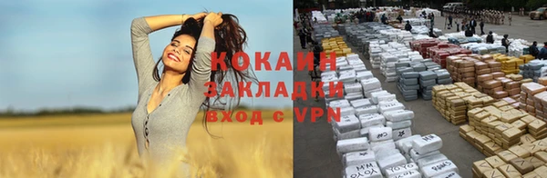 гашик Вуктыл