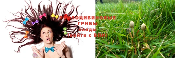 ПСИЛОЦИБИНОВЫЕ ГРИБЫ Абинск