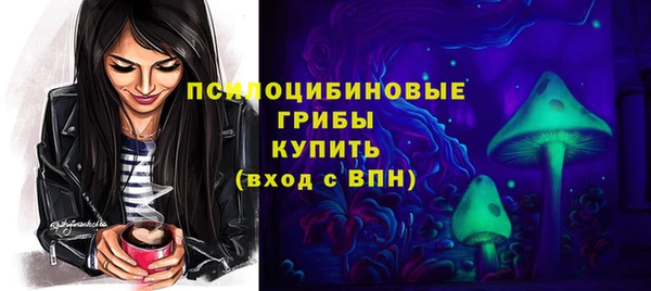 амф Приозерск