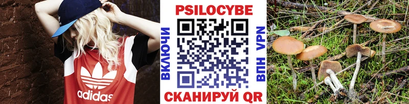 Галлюциногенные грибы Psilocybine cubensis  как найти закладки  Донецк 